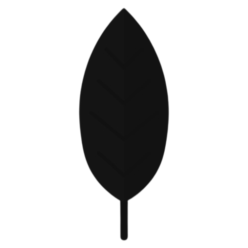 MongoDB
